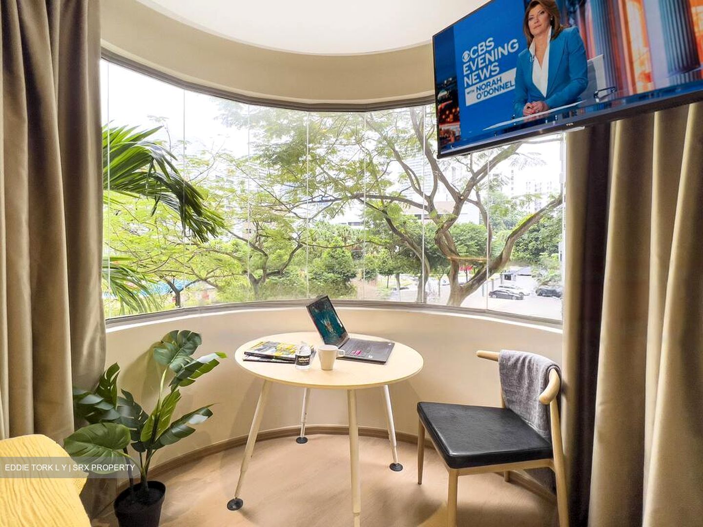 Mount Elizabeth Link (D9), Apartment #461432321